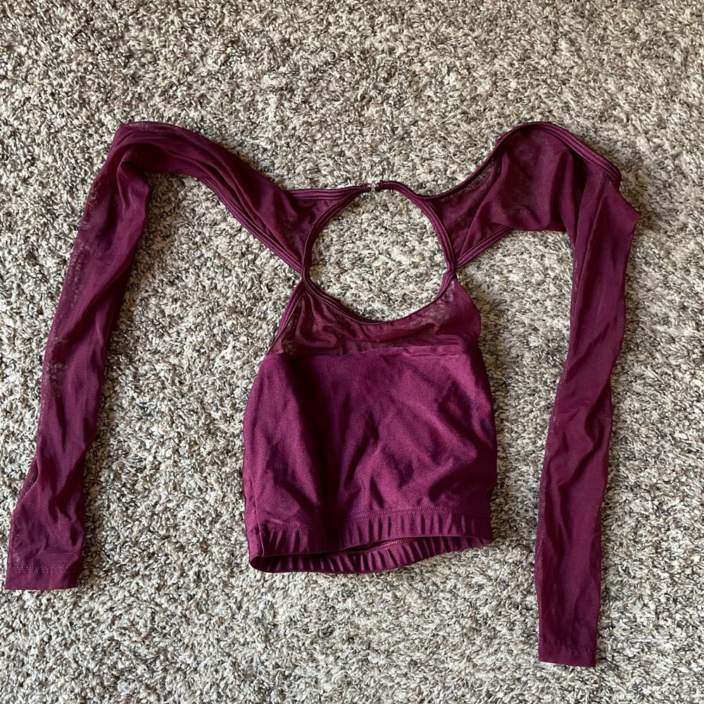 Mesh long sleeved crop